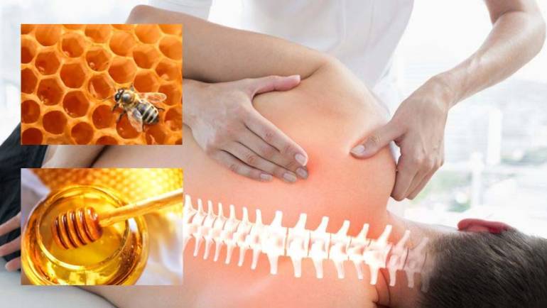 Therapeutic massage with application of Apitherapy